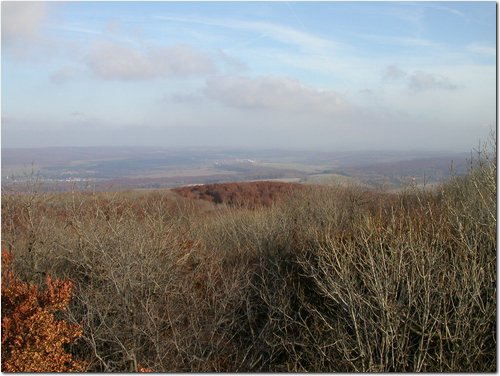 2003.11.16.Bakony-06.jpg