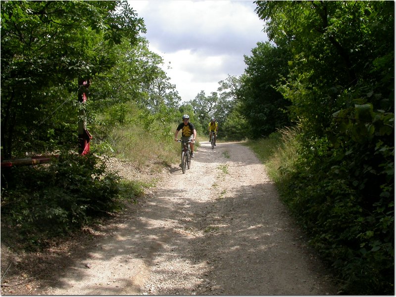 2004.08.14.Vertes-08.jpg