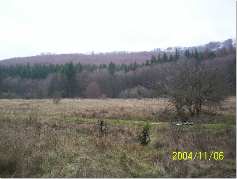 2004.11.06.Bükk-15.jpg