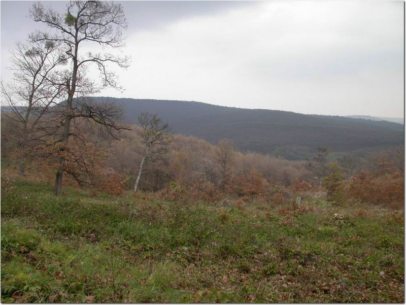 2004.11.06.Bükk-18.jpg