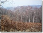 100_6217.jpg