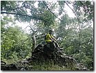 100_6644a.jpg