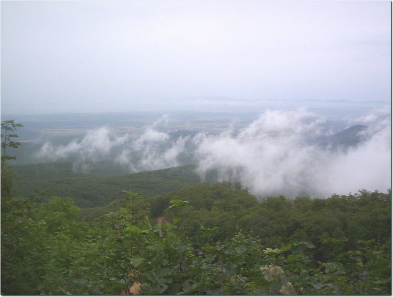 100_6748.jpg