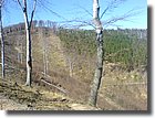 DSC00380.JPG