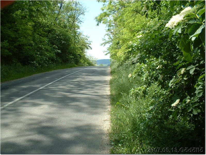 DSCF0006.JPG