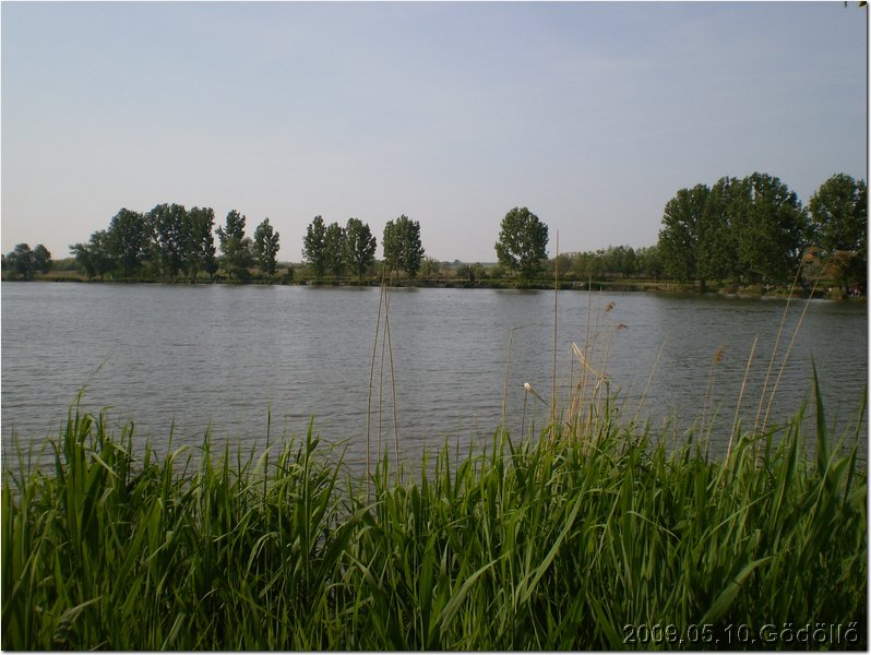 P5100009.JPG