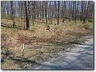 DSCN0267.jpg