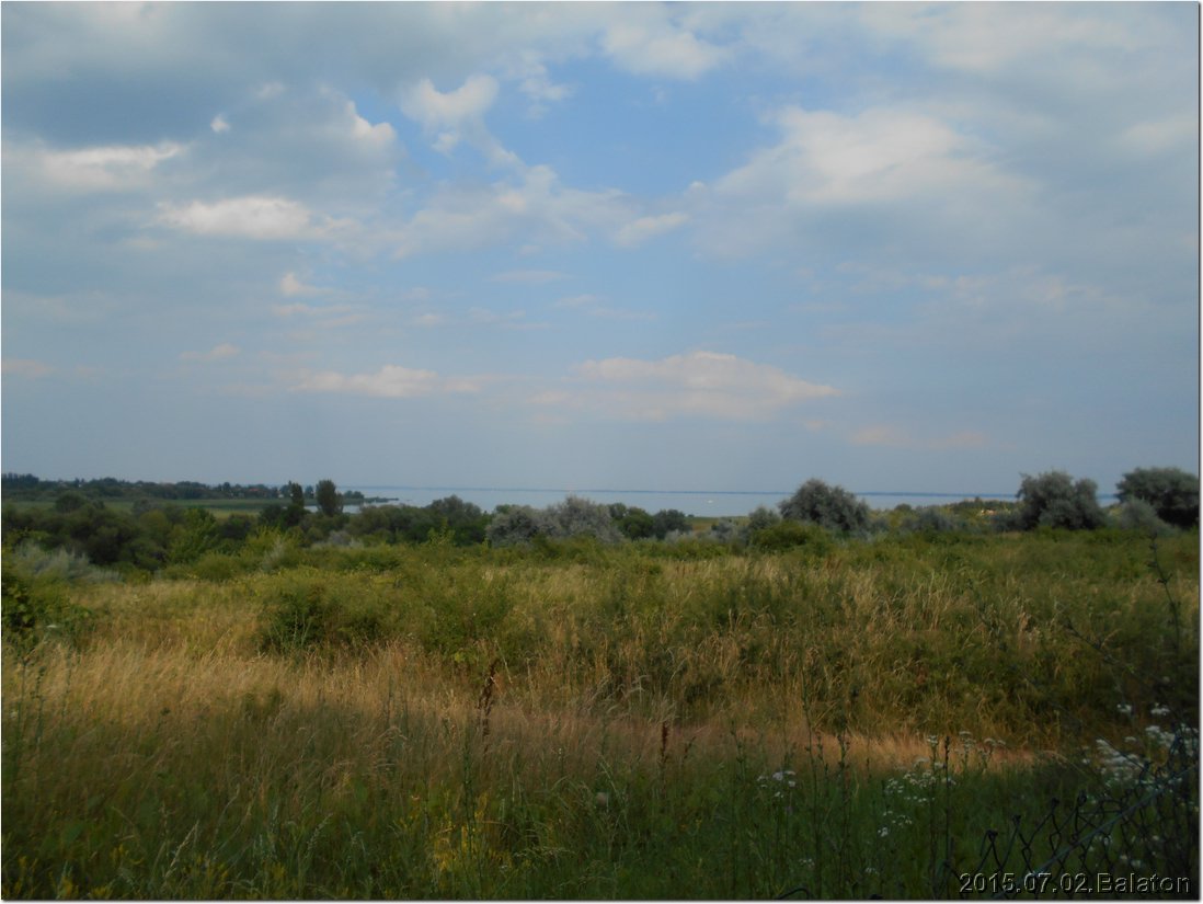 DSCN0821.jpg