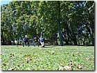 DSCN0986.jpg