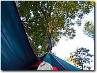 DSCN1008.jpg