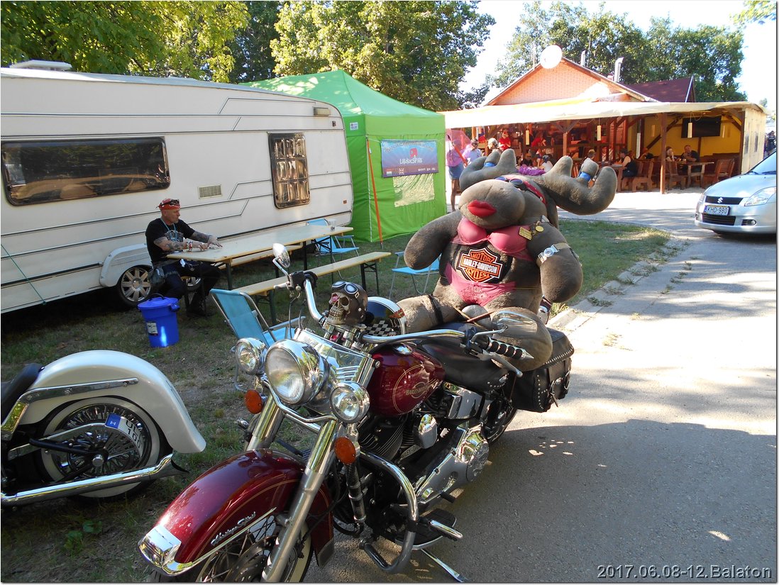 DSCN1216.jpg